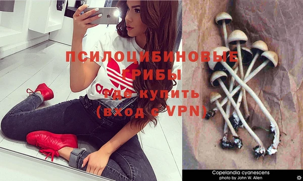 героин Кукмор